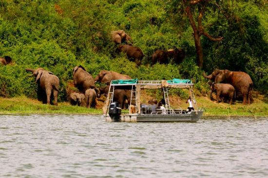 Kazinga Channel Boat Cruise