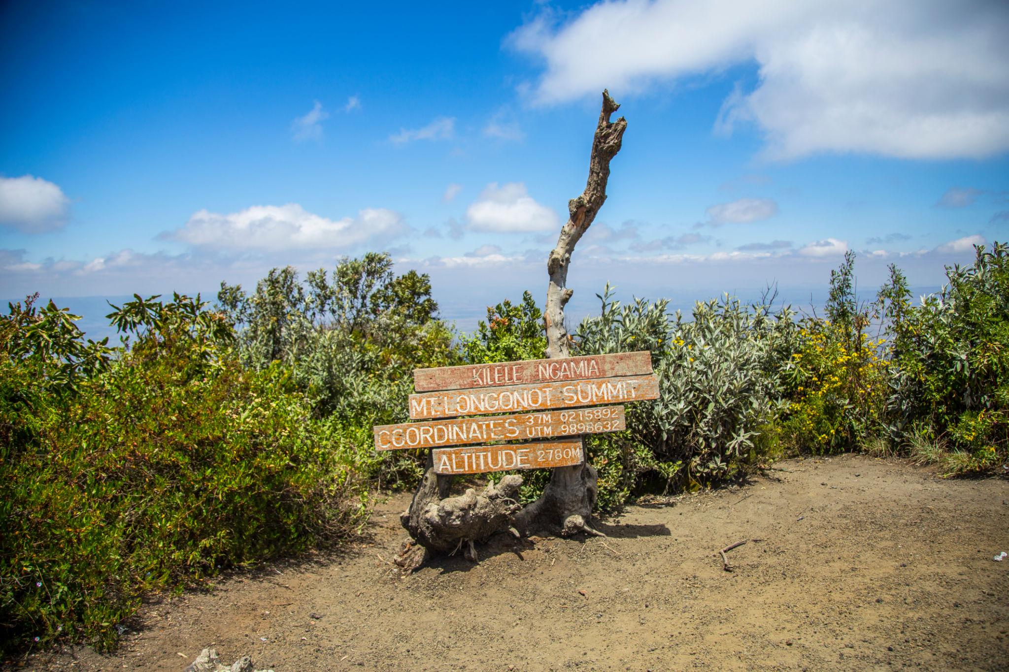 Alpine Giants | Kenya - Image 13