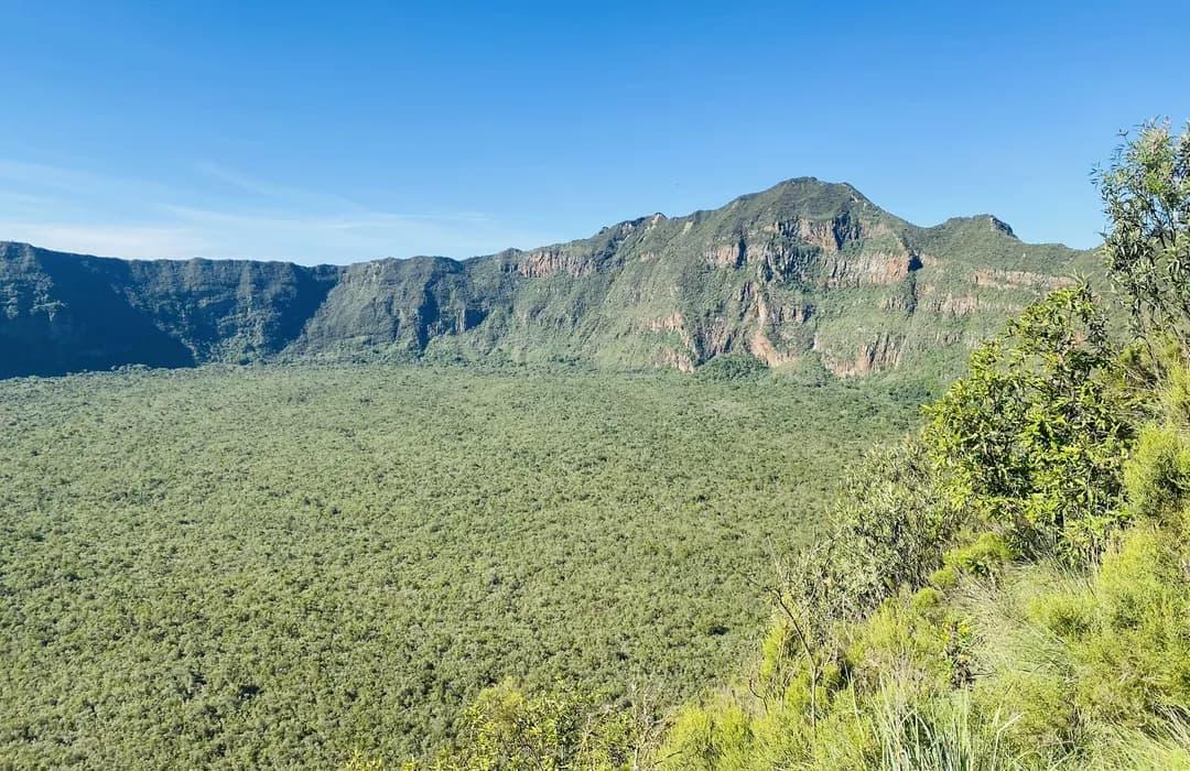 Alpine Giants | Kenya - Image 3