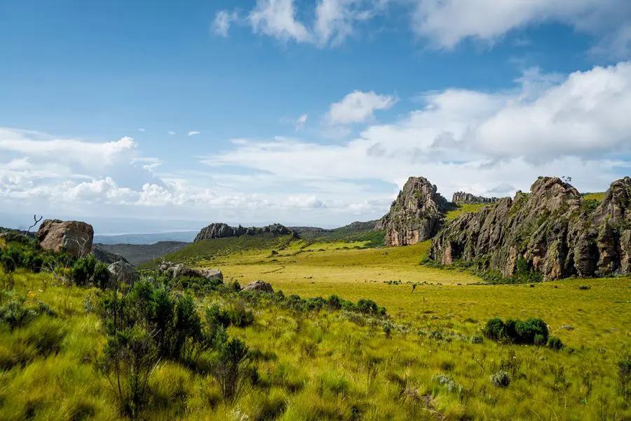 Alpine Giants | Kenya - Image 9