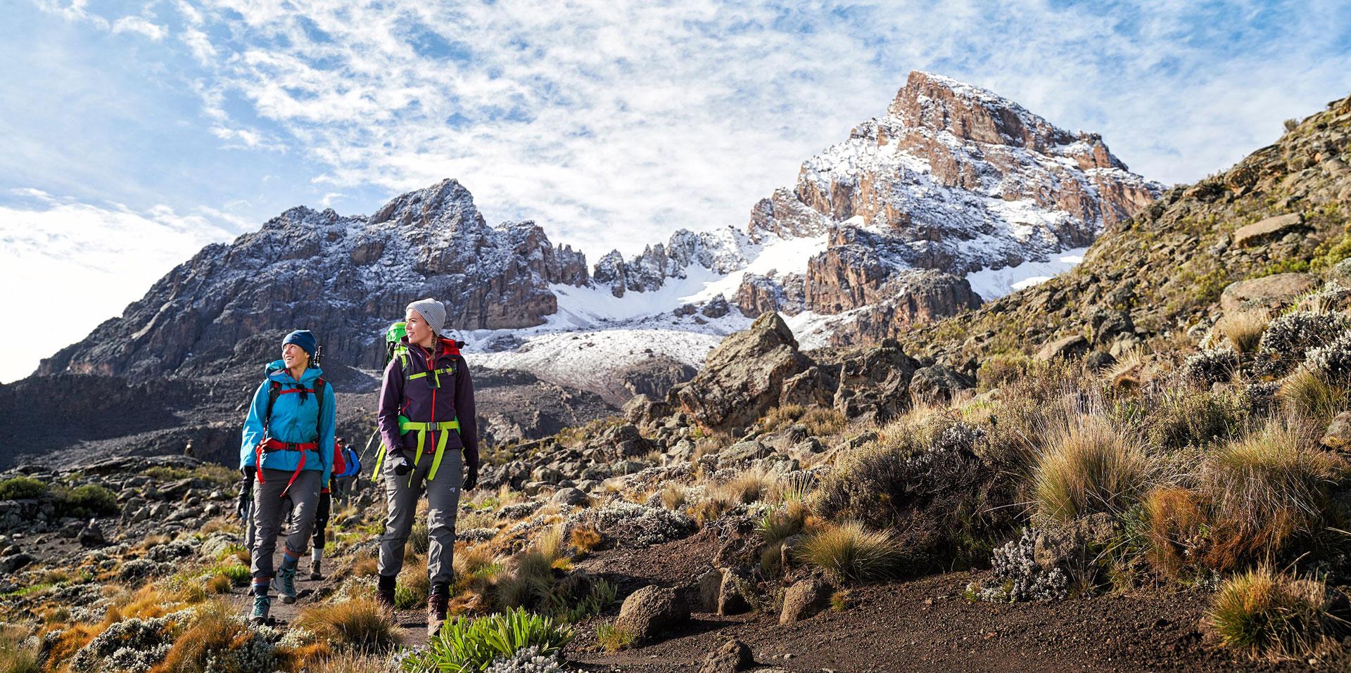 Alpine Giants | Kenya - Image 1