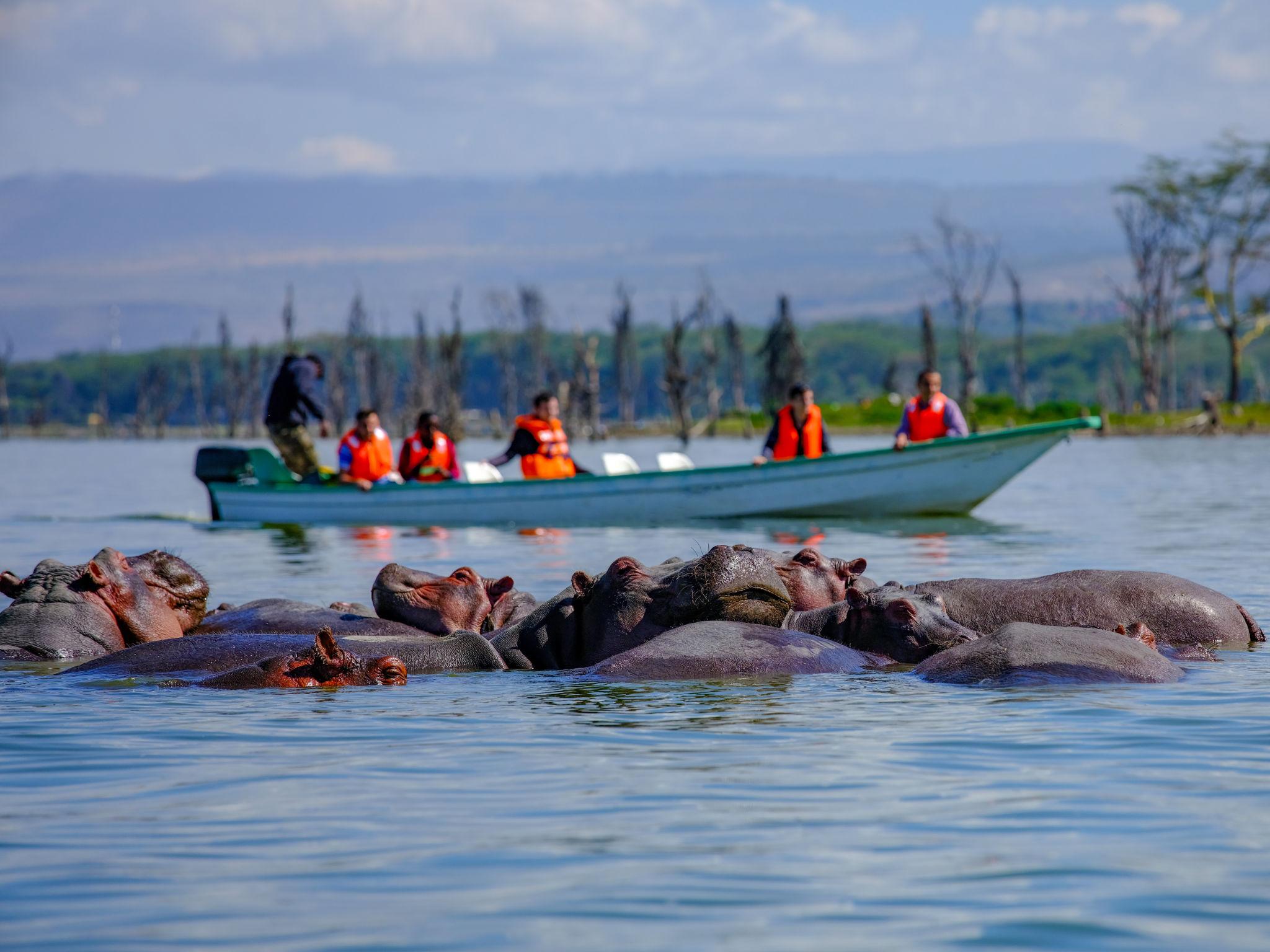 Kenya - Image 2