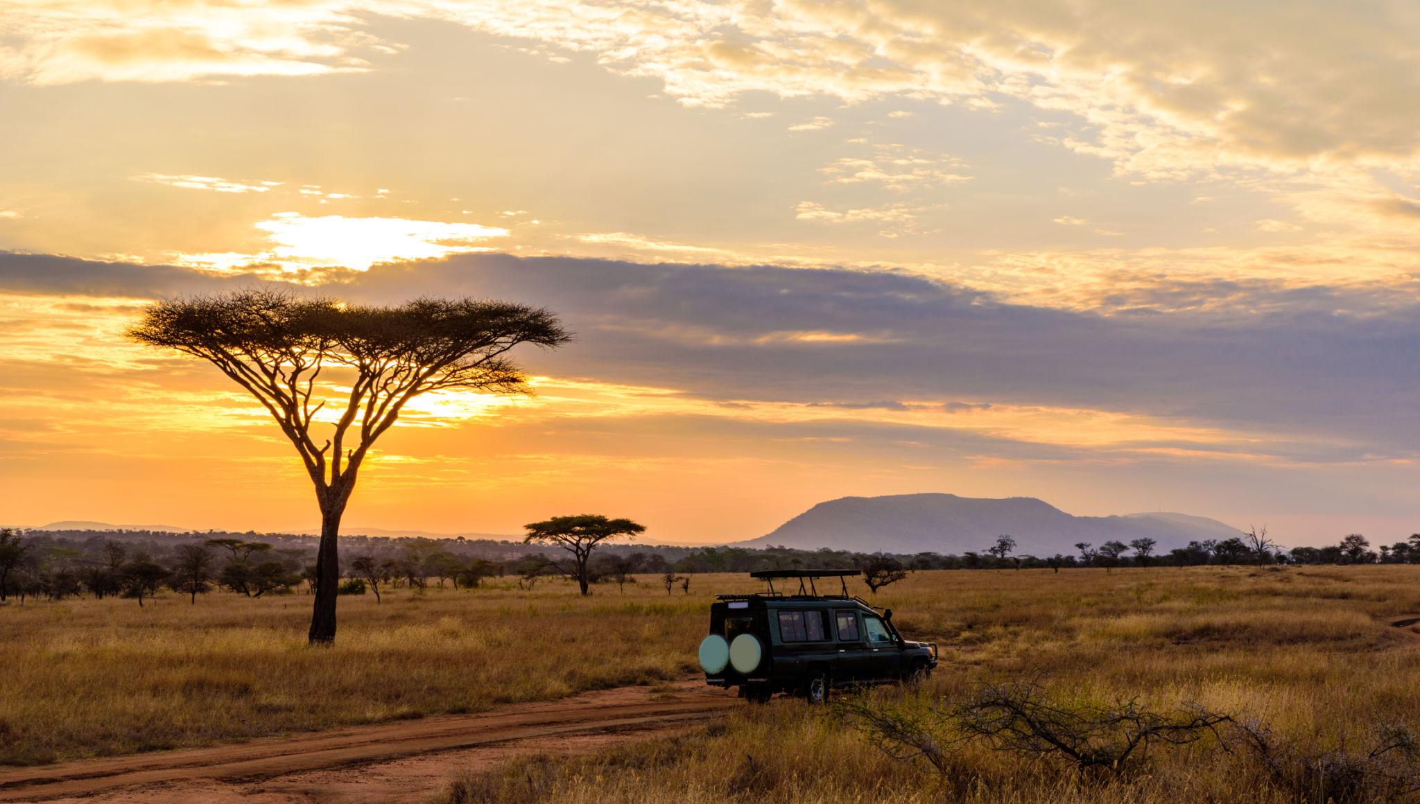 Kenya - Image 7