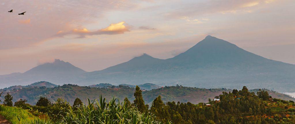 Rwanda - Image 6