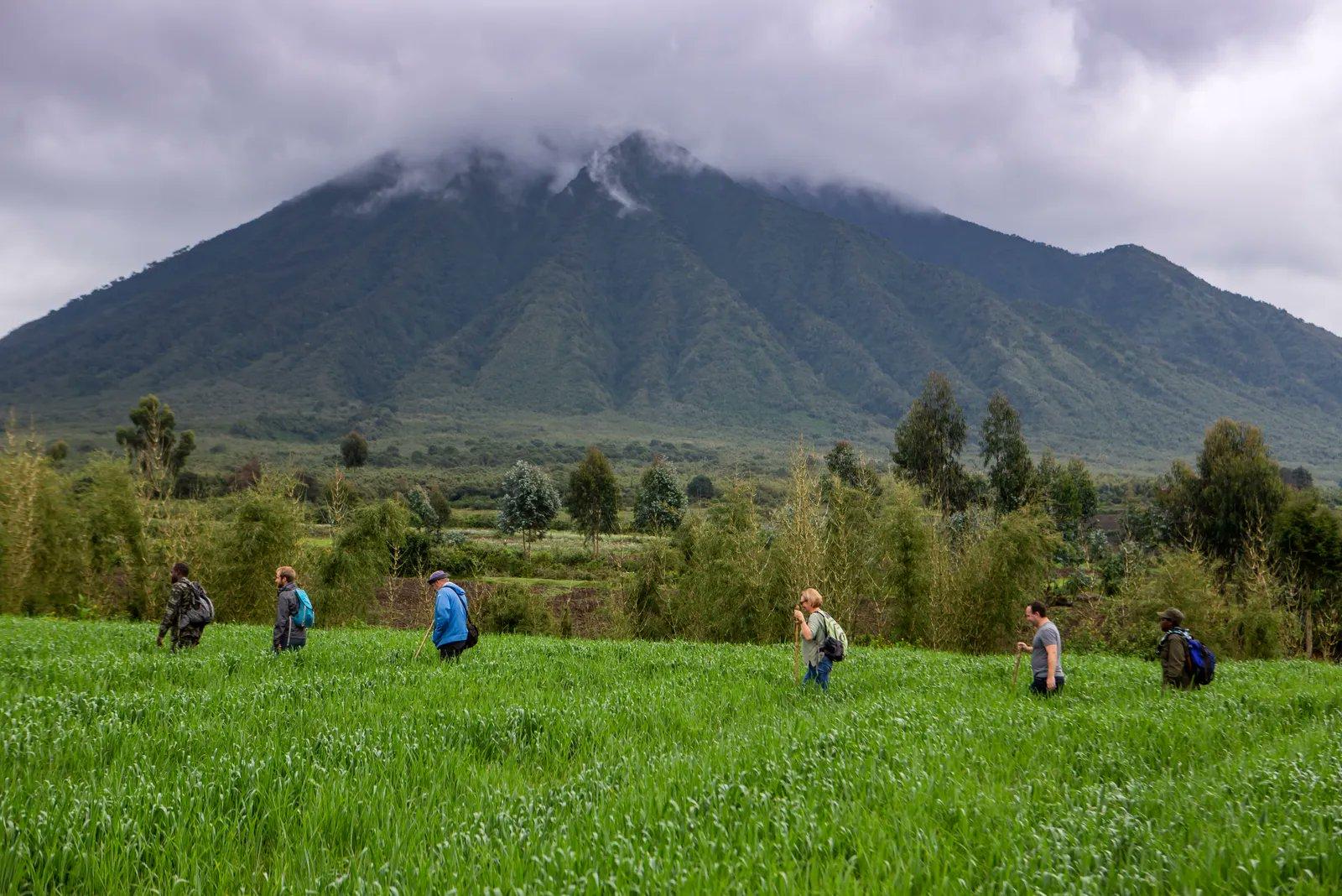 Rwanda - Image 7