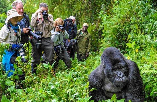 Rwanda - Image 12