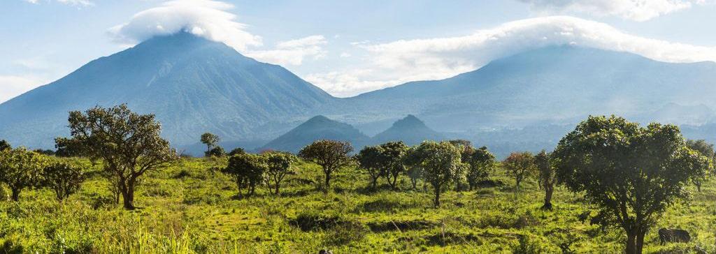 Volcanic Trails | Rwanda - Image 4