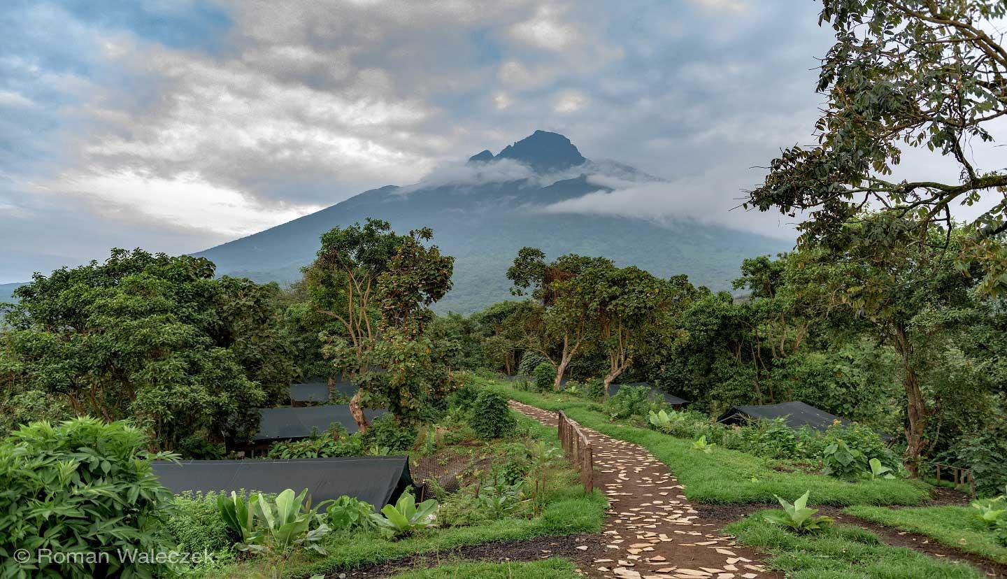 Volcanic Trails | Rwanda - Image 2