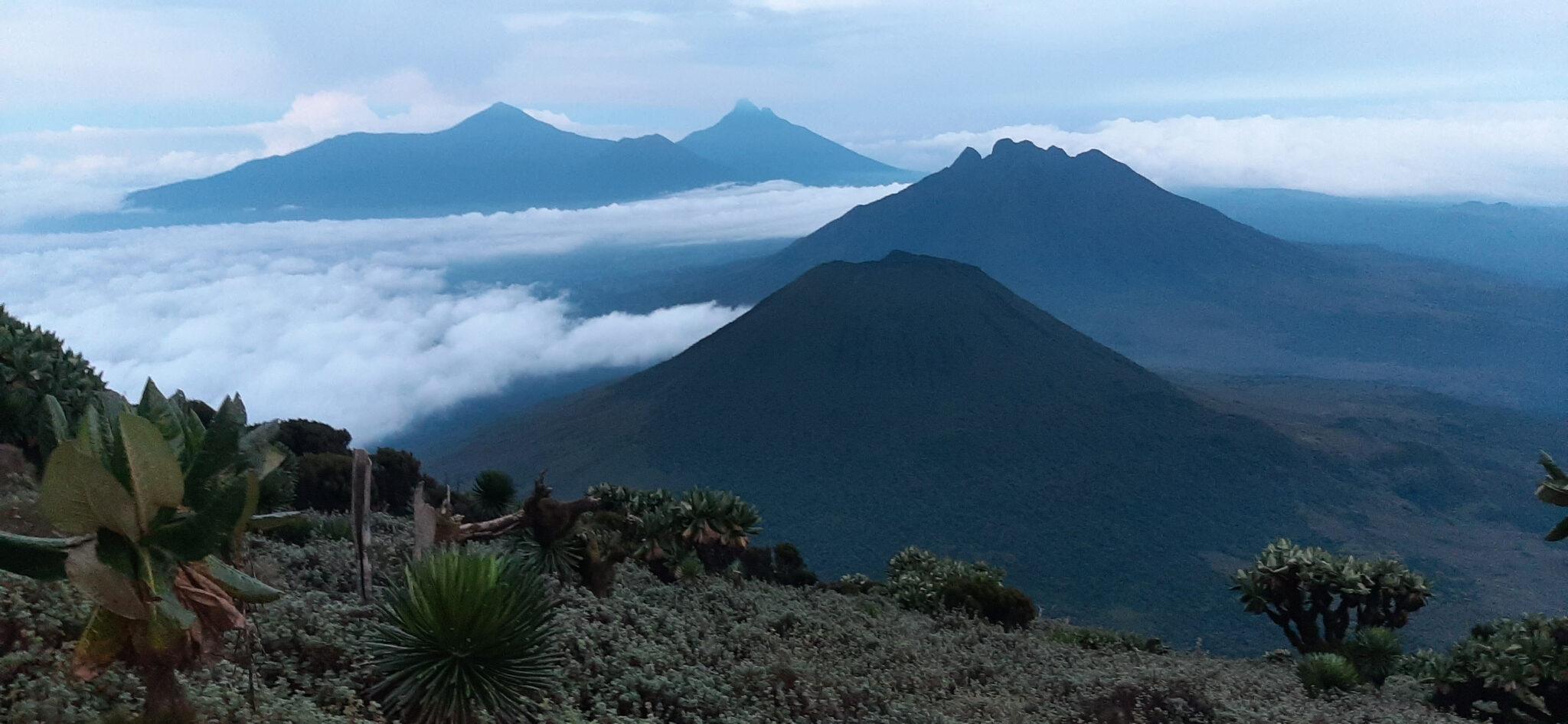 Volcanic Trails | Rwanda - Image 14