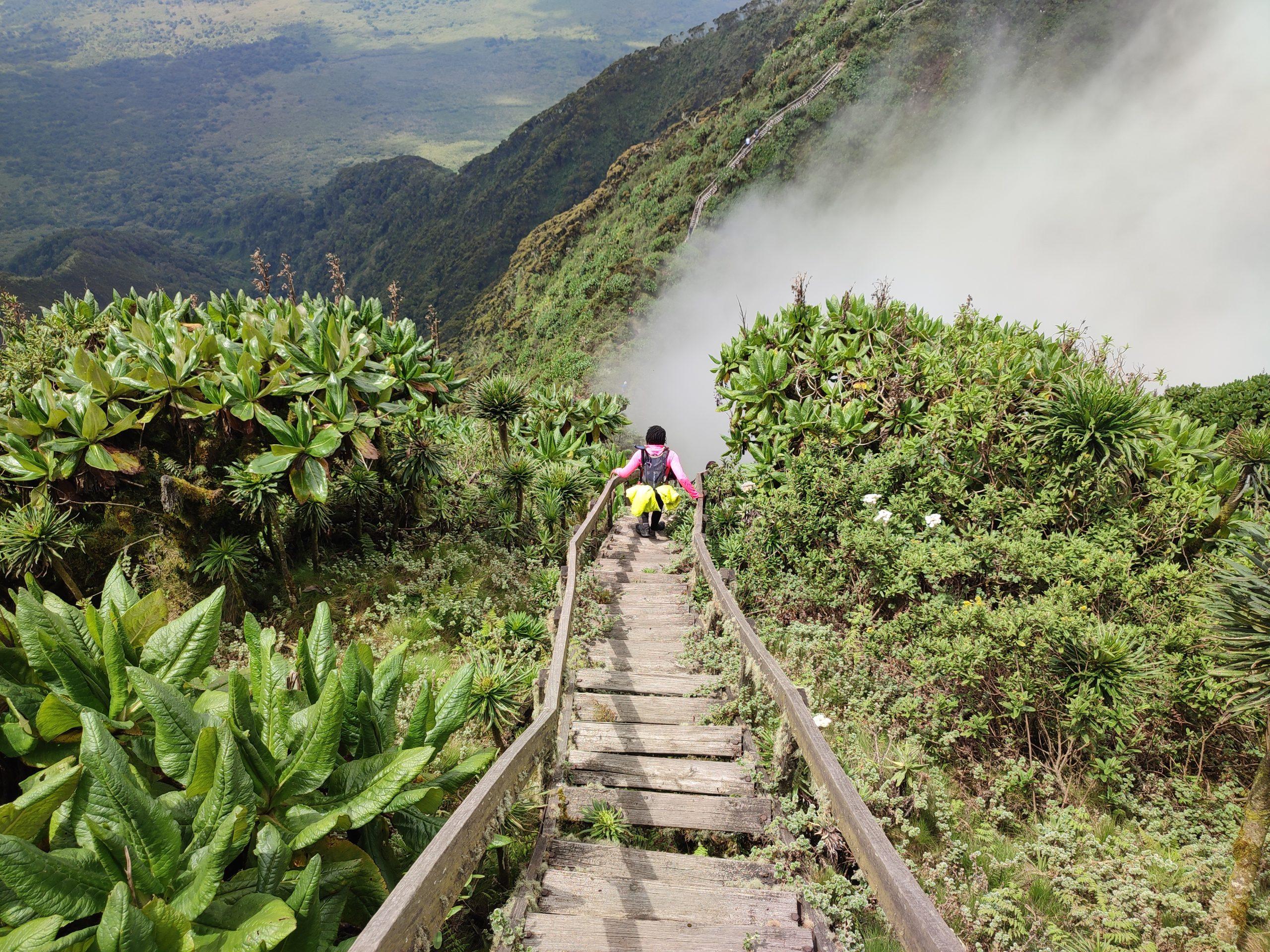 Volcanic Trails | Rwanda - Image 13