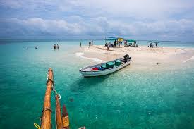 Safari Blue Ocean Adventure