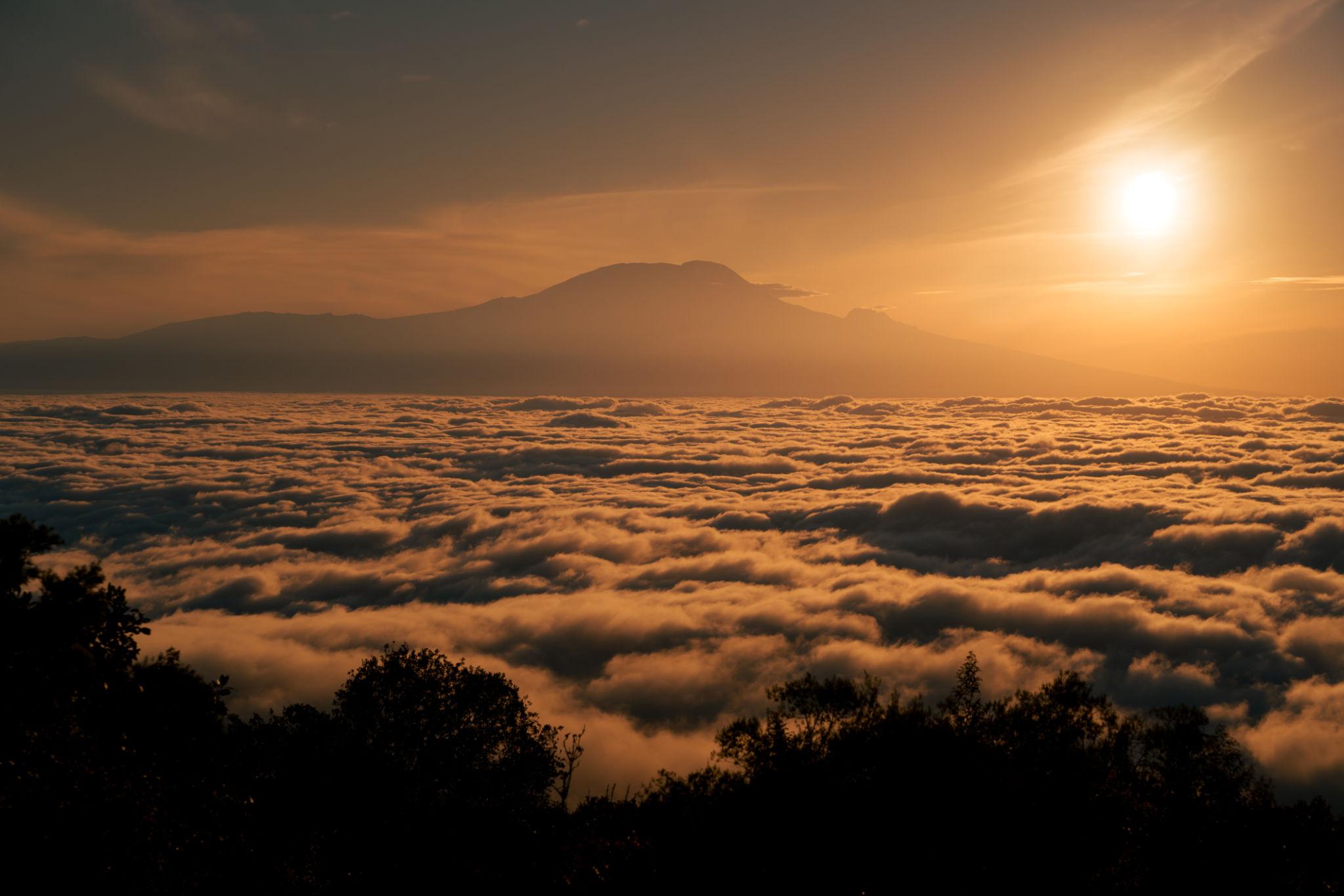 Summit Glory | Tanzania - Image 3