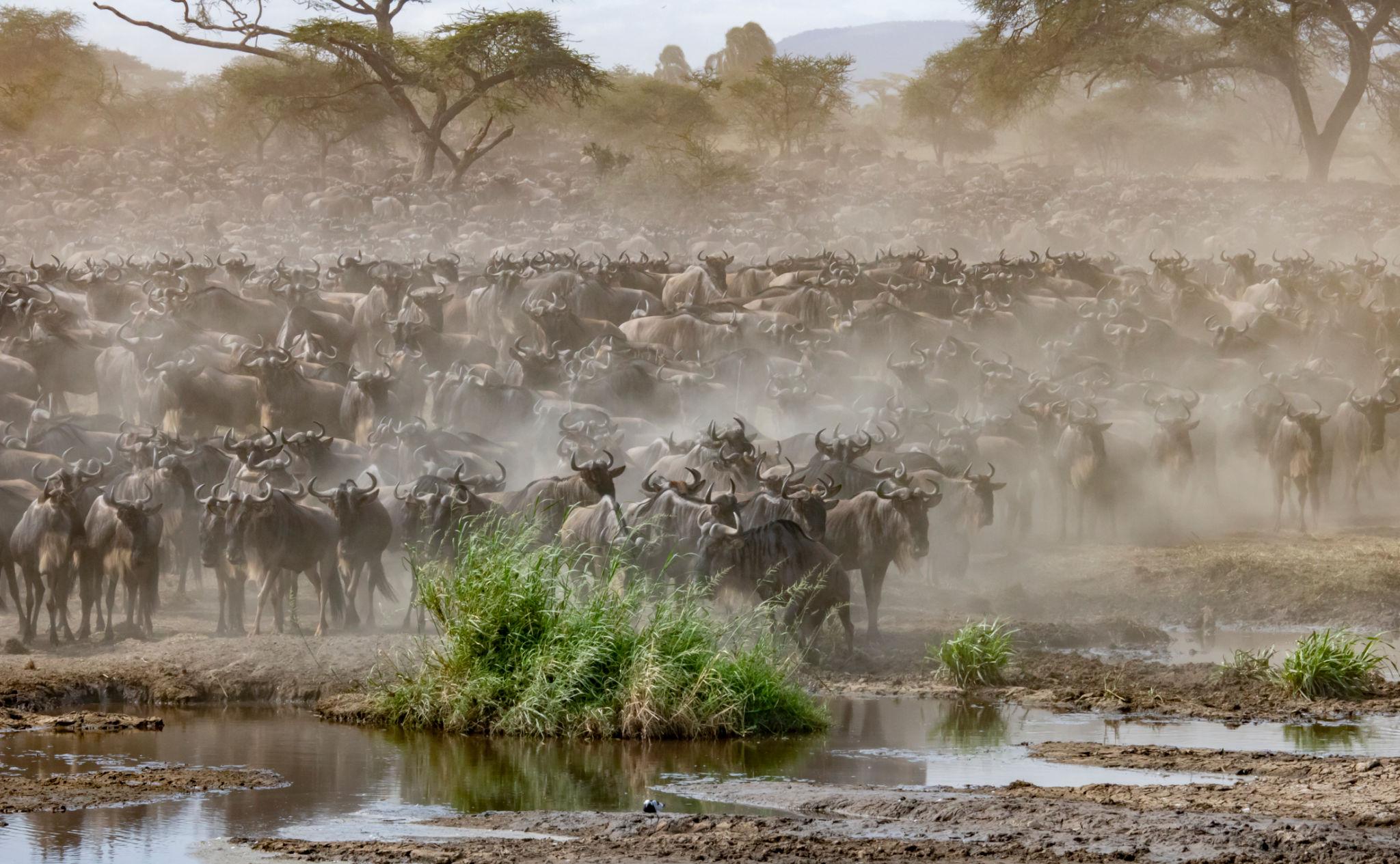 Tanzania - Image 14