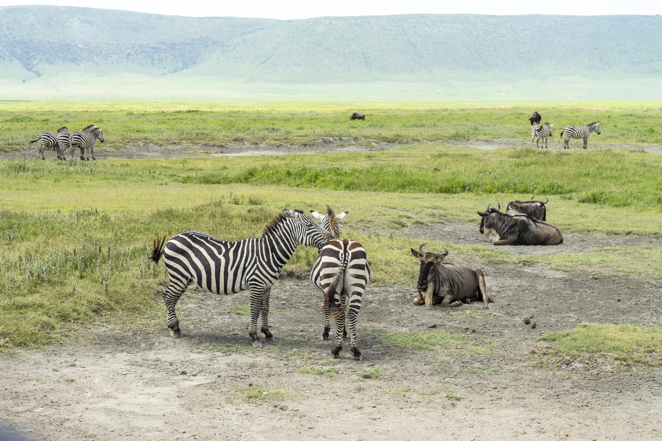 Tanzania - Image 9
