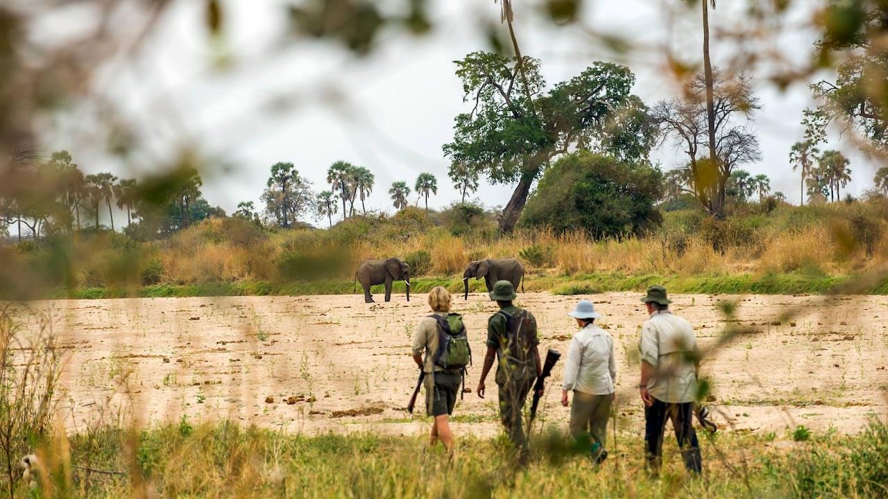 Tanzania - Image 15