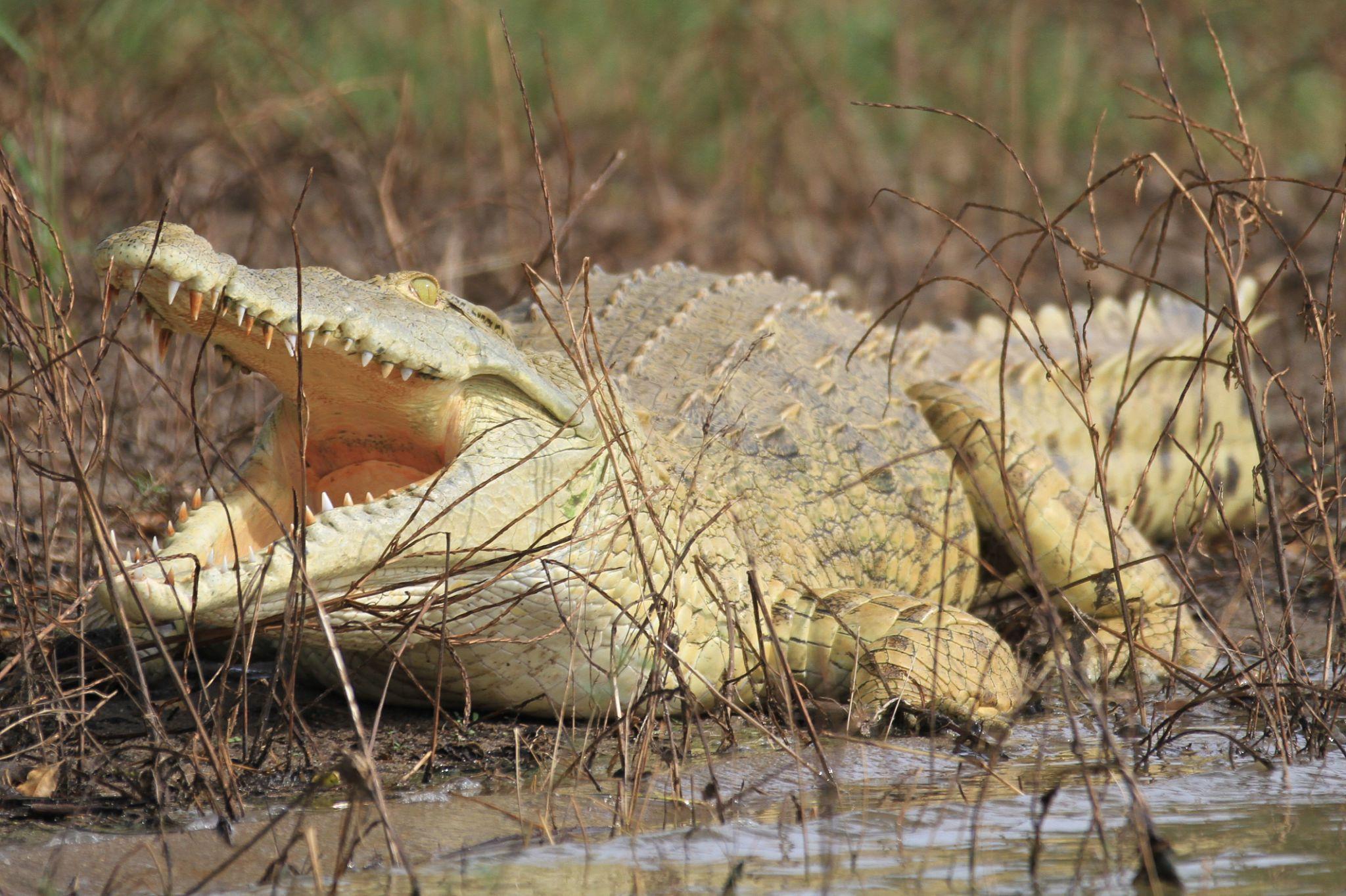 Tanzania - Image 20
