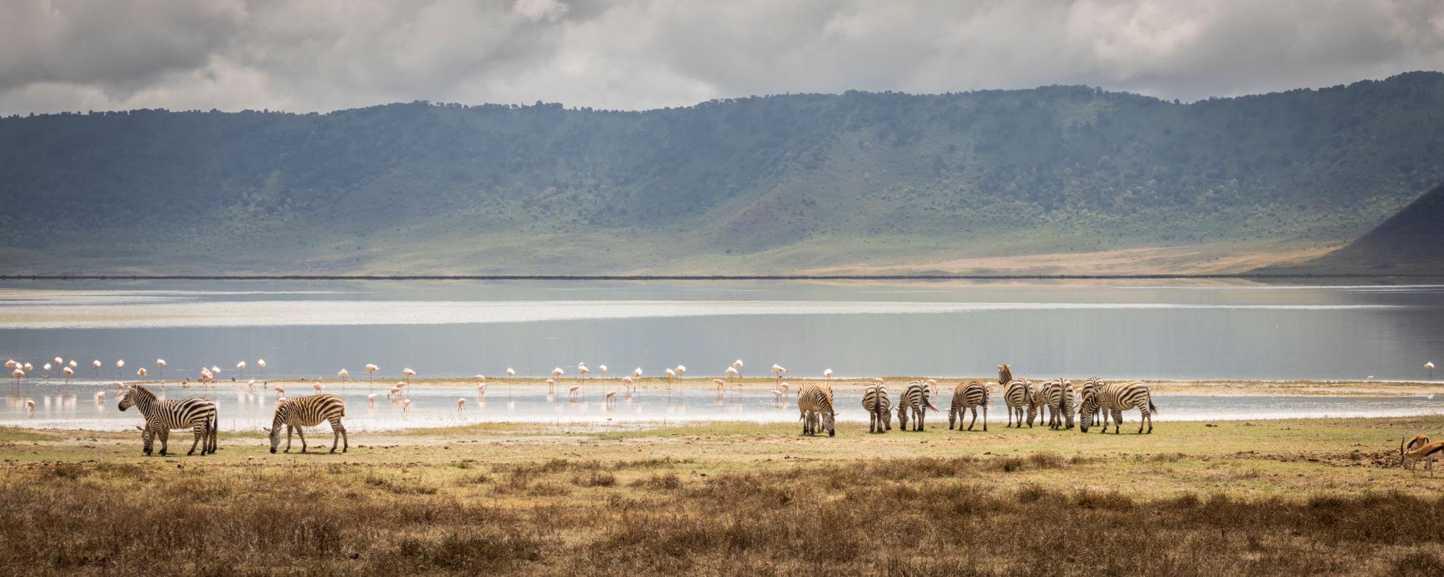 Tanzania - Image 6