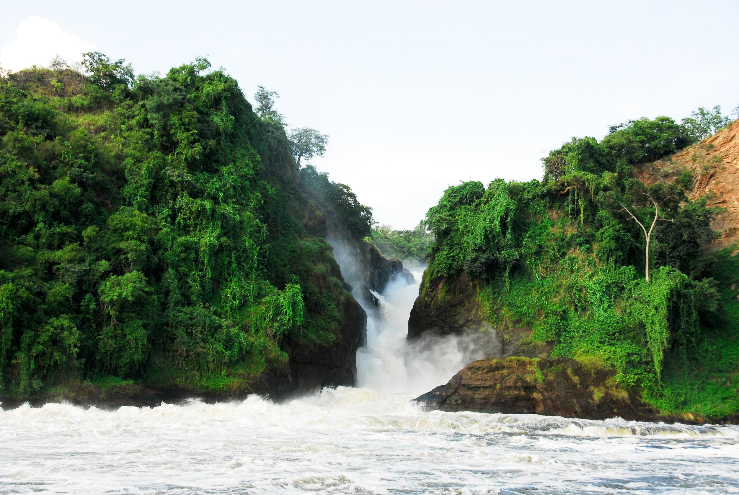 Uganda - Image 15