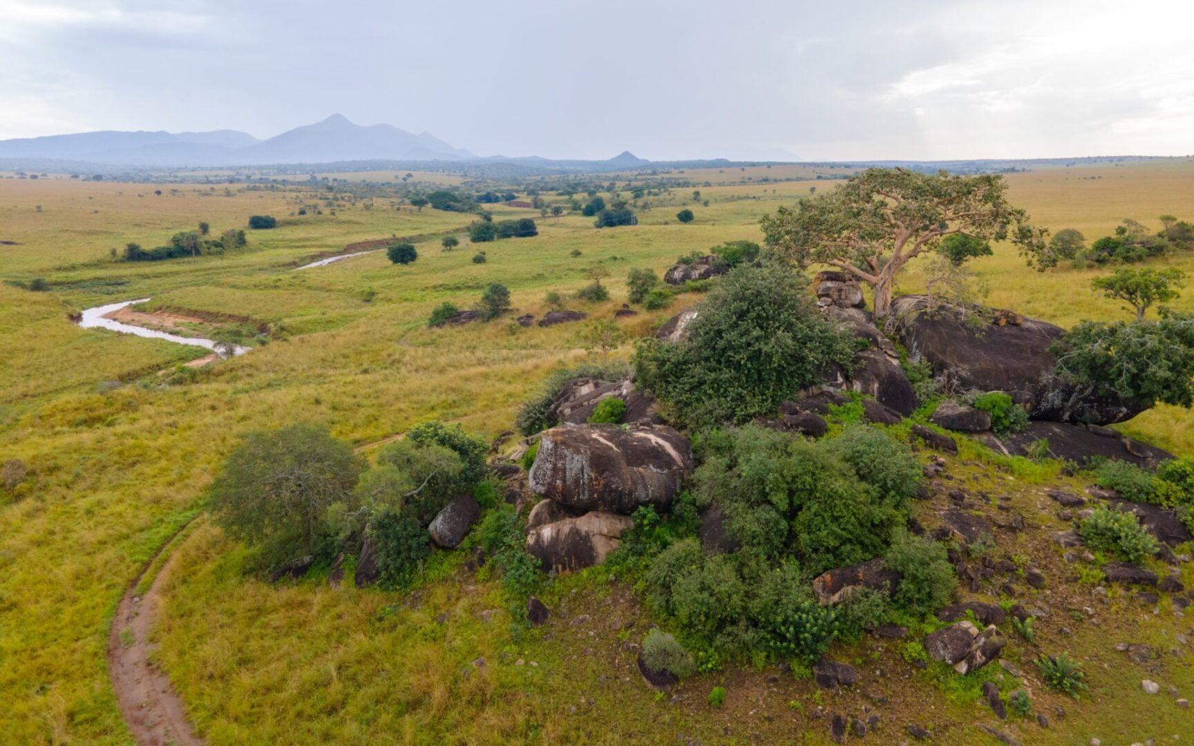 Uganda - Image 13