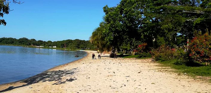 Lake Beaches | Uganda - Image 3