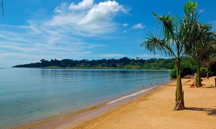Lake Beaches | Uganda - Image 1
