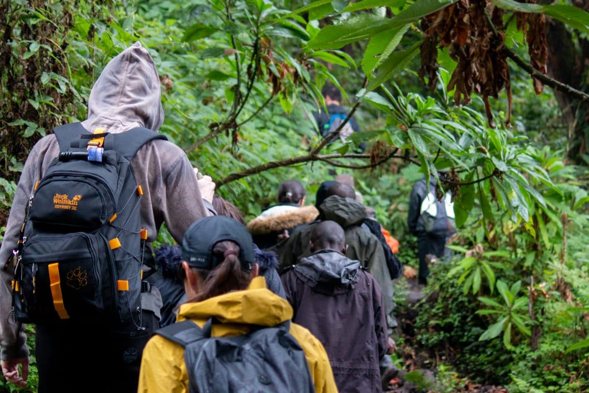 Mystic Peaks | Uganda - Image 22