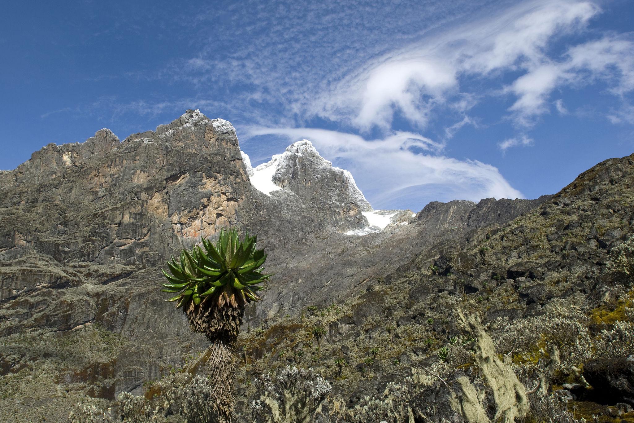 Mystic Peaks | Uganda - Image 26