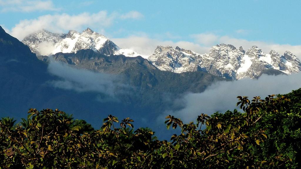 Mystic Peaks | Uganda - Image 34