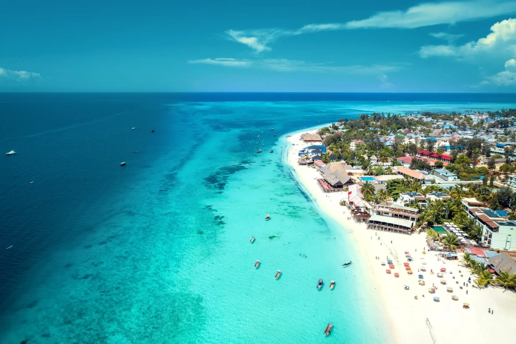 Sandy Beaches | Zanzibar - Image 1
