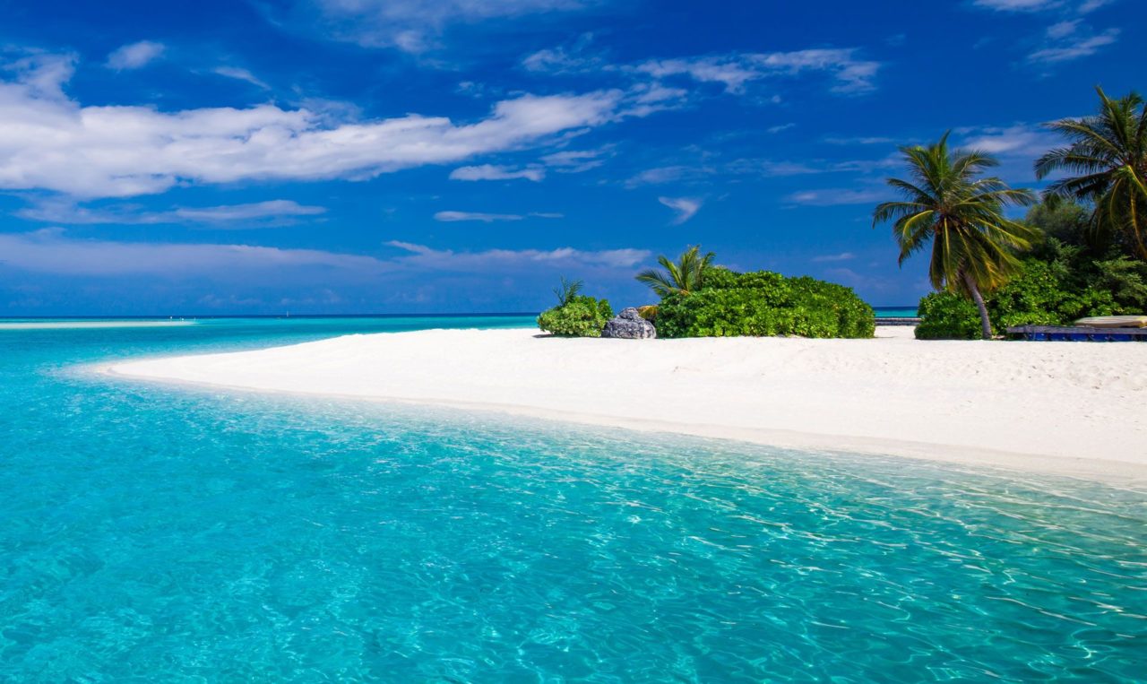 Sandy Beaches | Zanzibar - Image 3