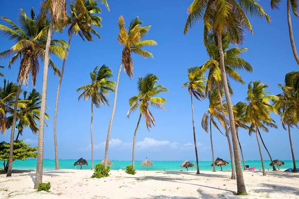 Sandy Beaches | Zanzibar - Image 2