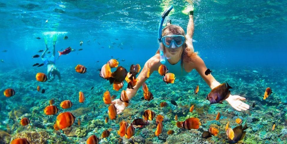 Dolphin Watching & Snorkeling Tour