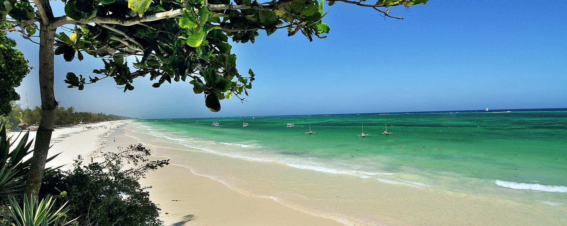 Kenya Coast - Image 2