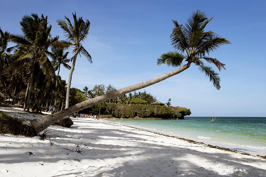 Kenya Coast - Image 3