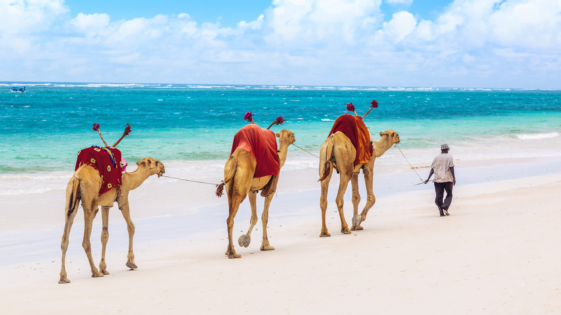 Kenya Coast - Image 5