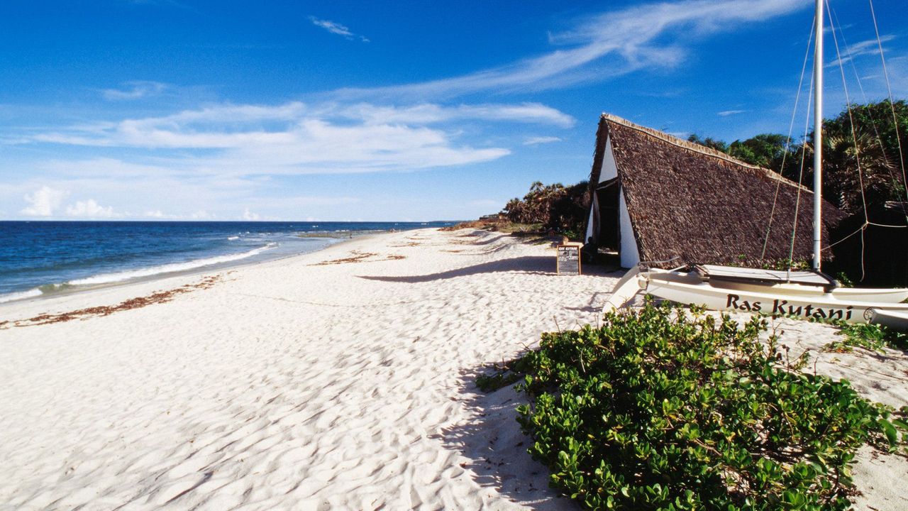 Mainland Coast - Image 6