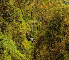 Nyungwe Forest Adventure