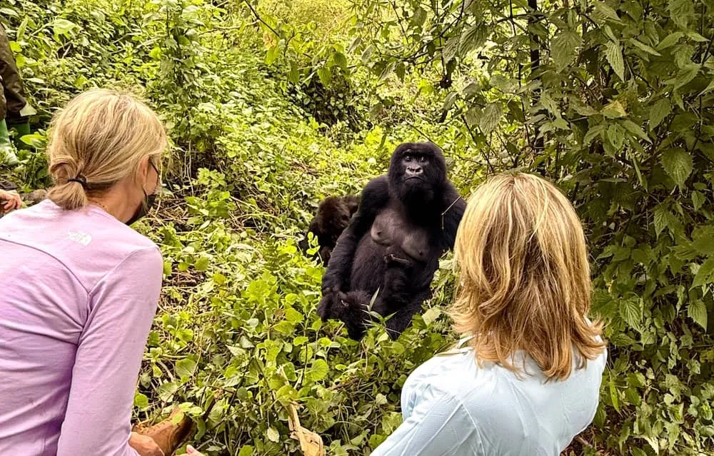 Rwanda Gorilla Trekking